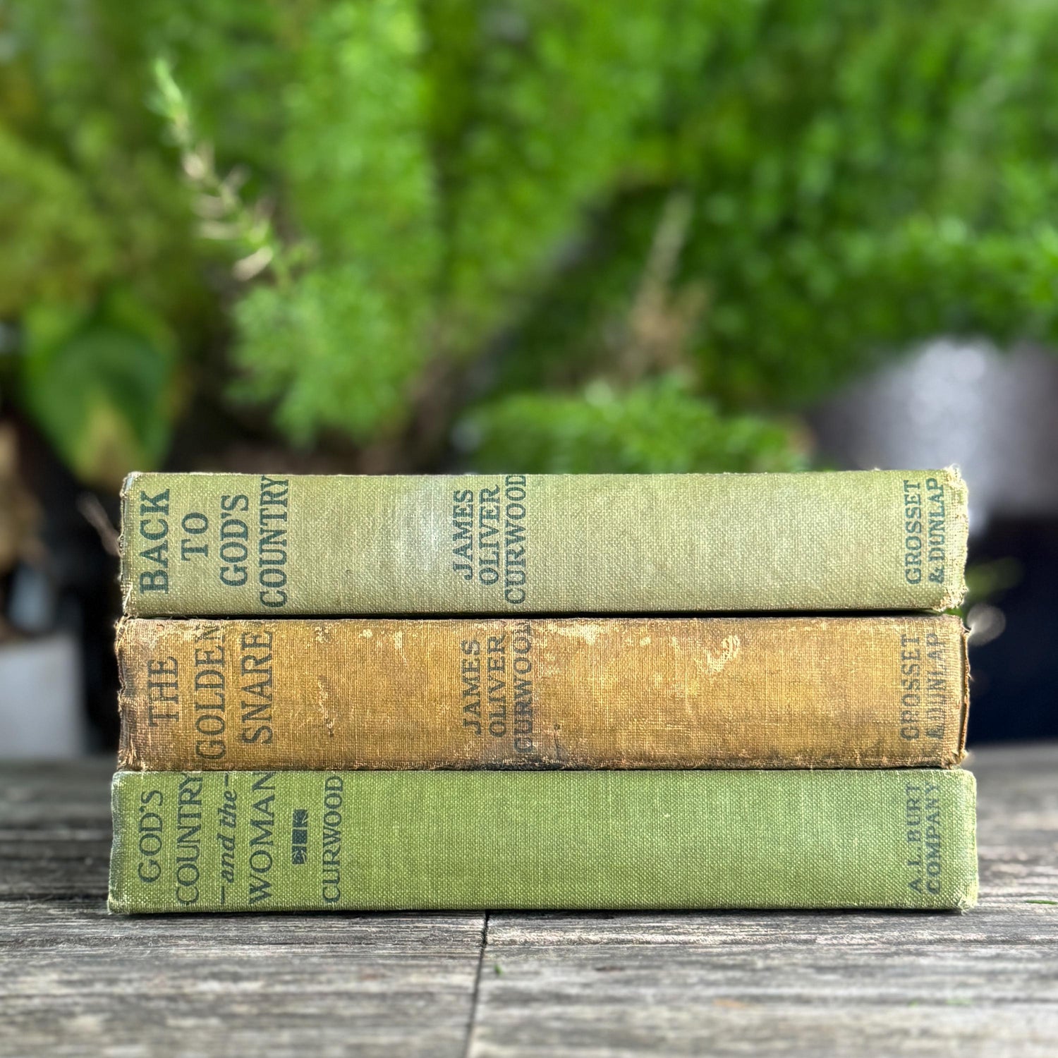 Antique James Oliver Curwood Westerns, Olive Green and Beige Book Bundle