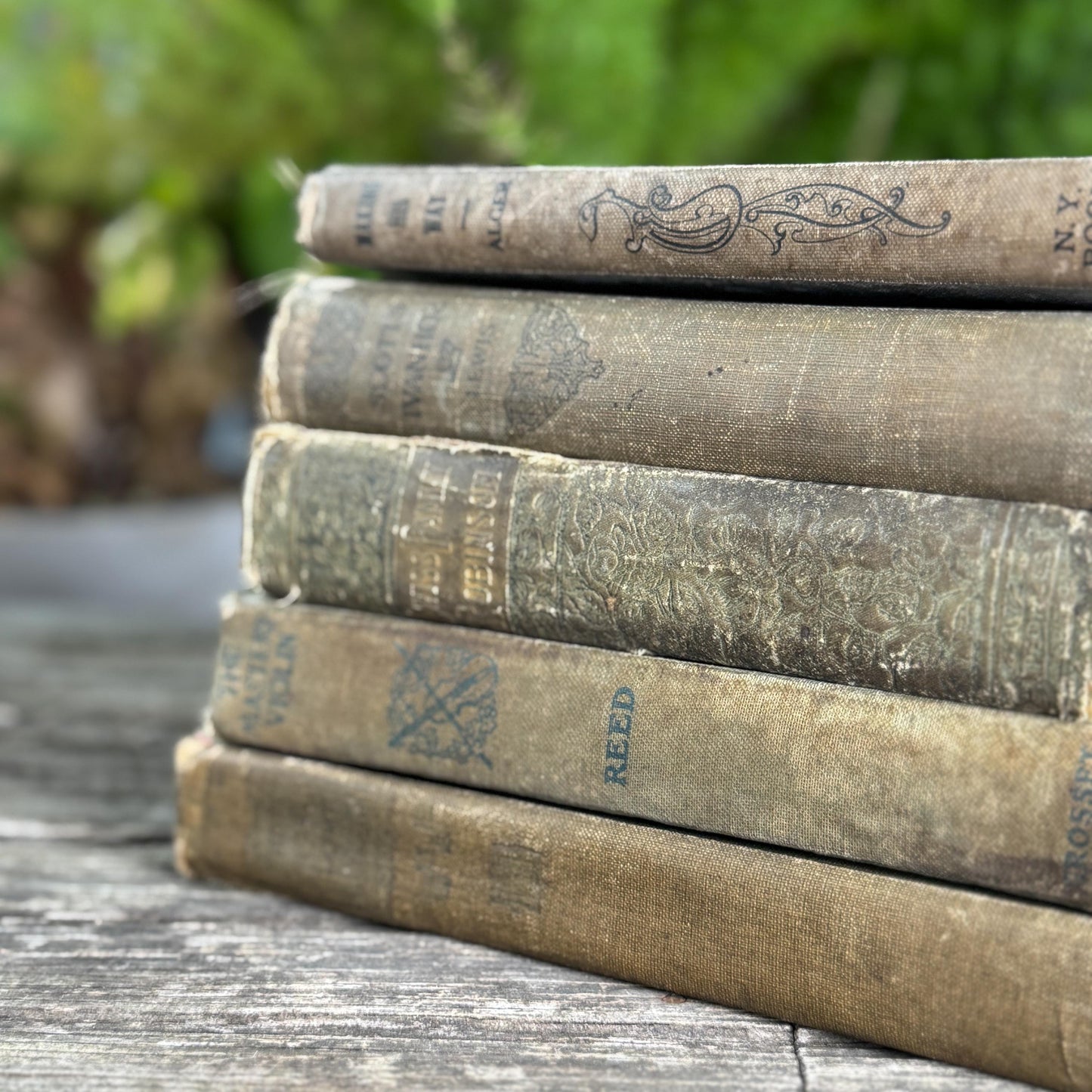 Green and Beige Antique Literature Books