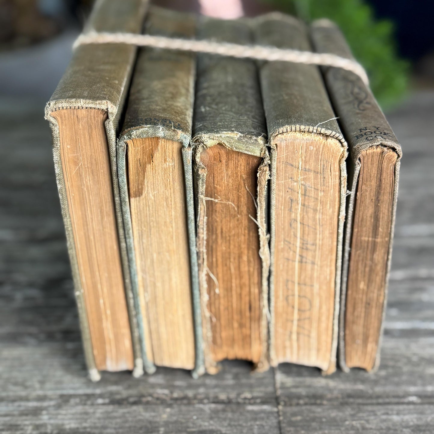 Green and Beige Antique Literature Books
