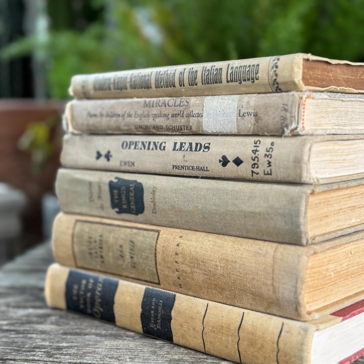 Old Neutral Beige and Black Book Bundle for Cozy Shelf Styling