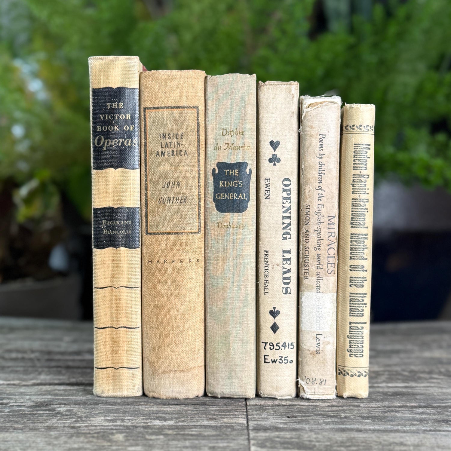 Old Neutral Beige and Black Book Bundle for Cozy Shelf Styling