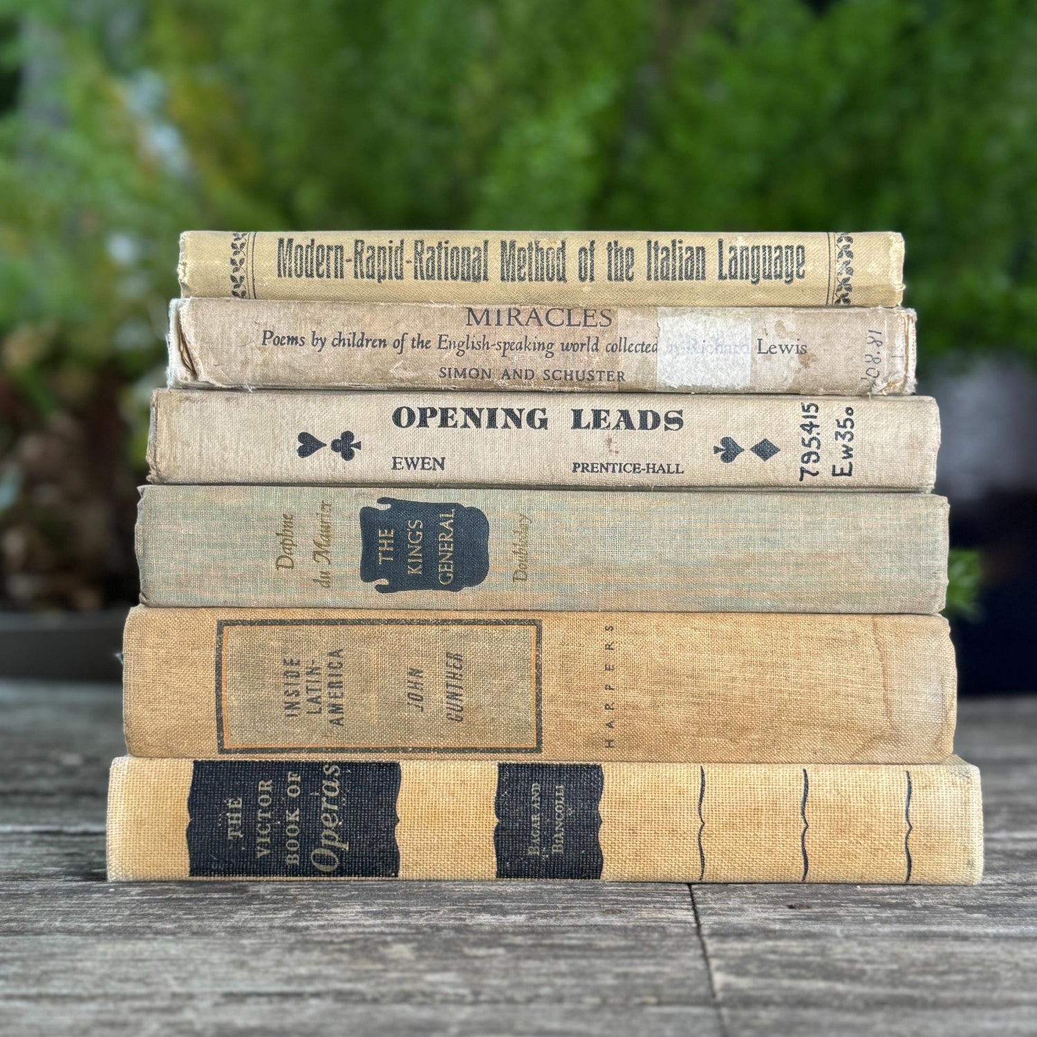 Old Neutral Beige and Black Book Bundle for Cozy Shelf Styling