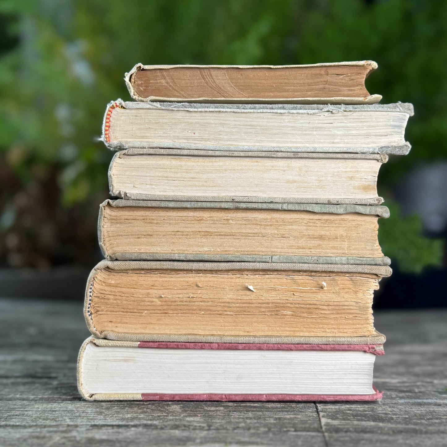 Old Neutral Beige and Black Book Bundle for Cozy Shelf Styling