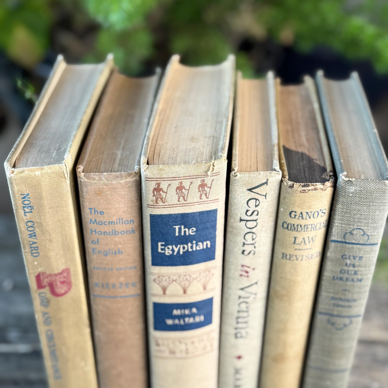 Beige, Blue, Gray, and Beige Vintage Books for Decor