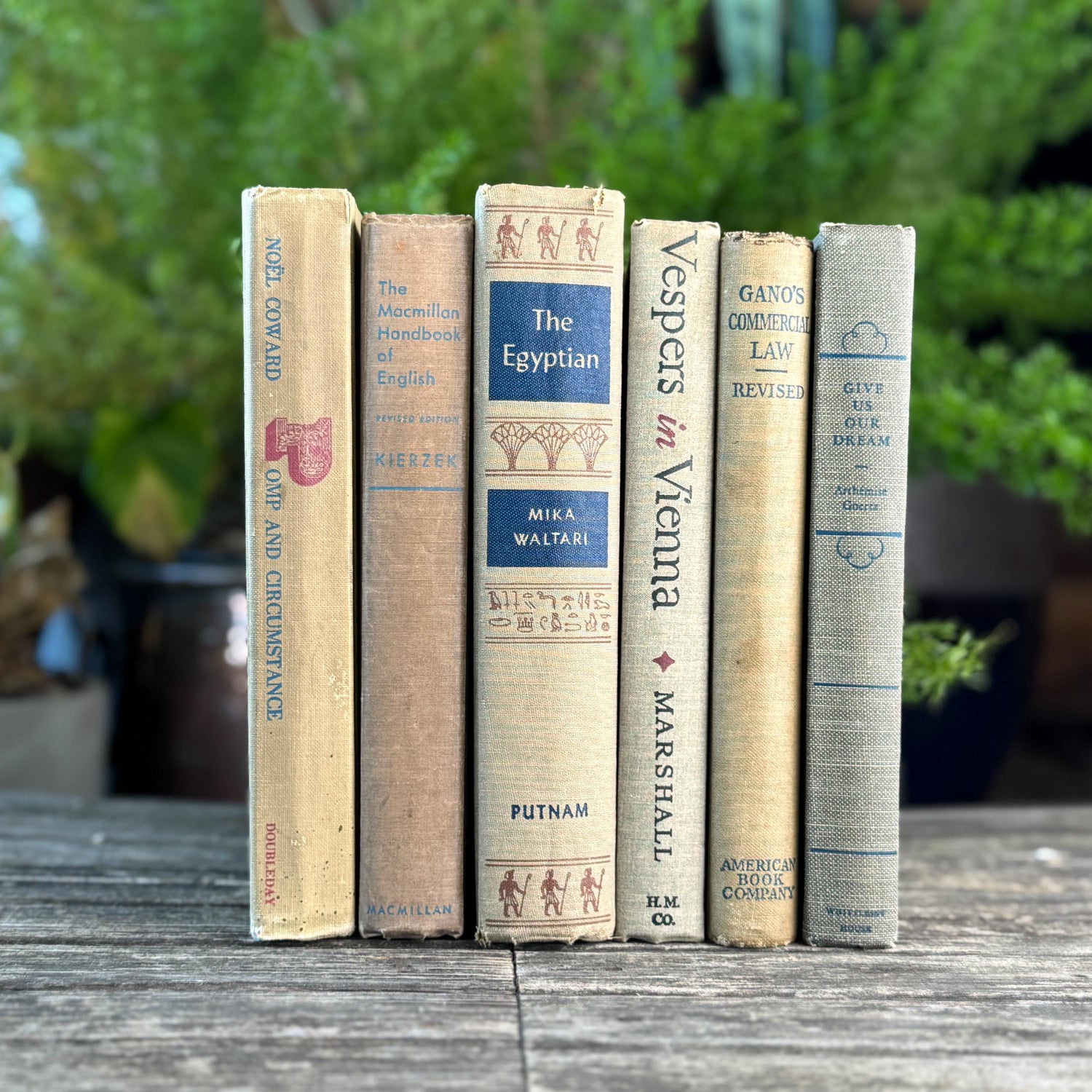 Beige, Blue, Gray, and Beige Vintage Books for Decor