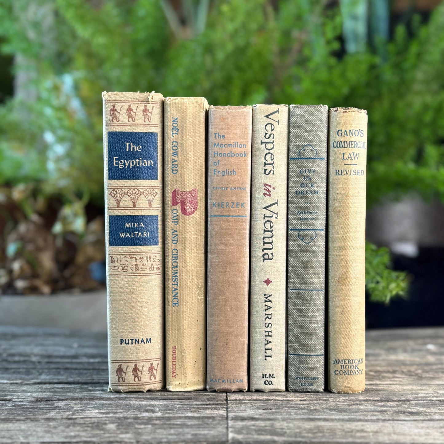 Beige, Blue, Gray, and Beige Vintage Books for Decor