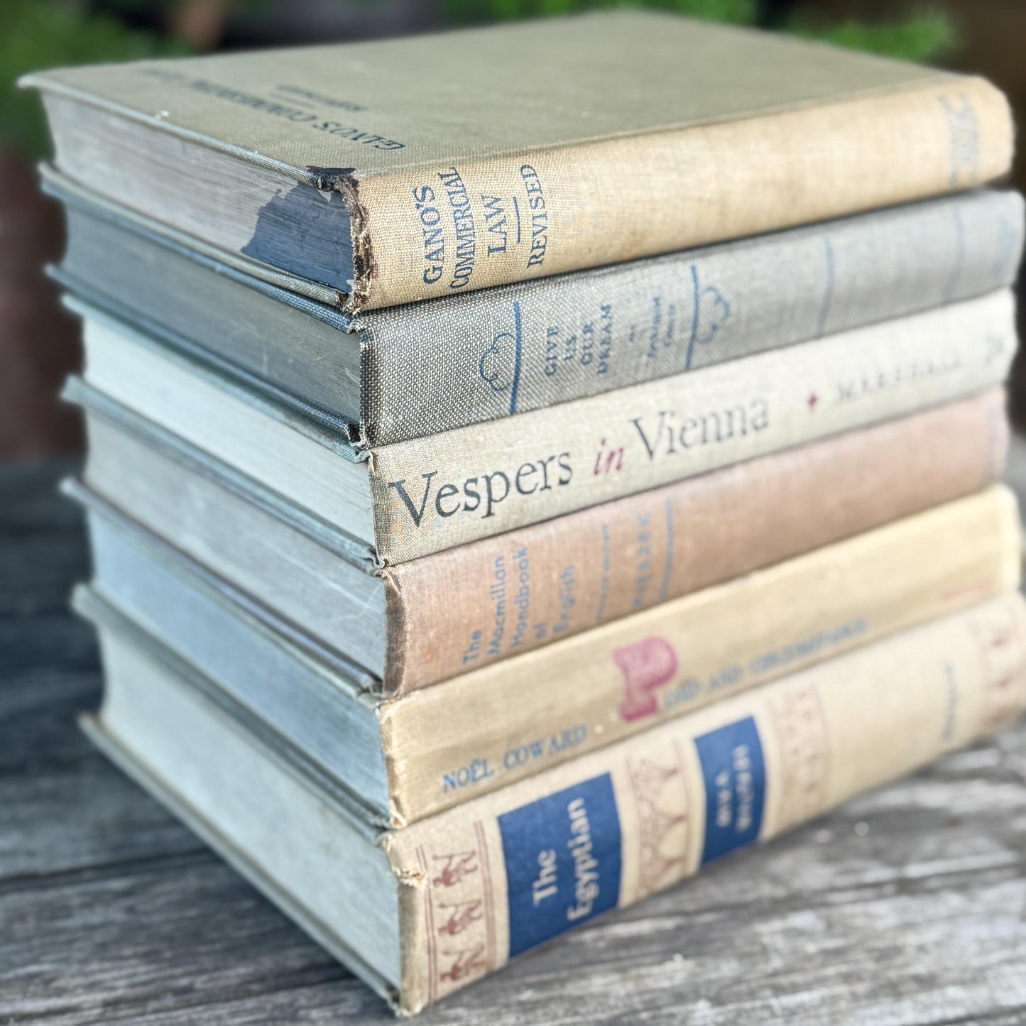 Beige, Blue, Gray, and Beige Vintage Books for Decor