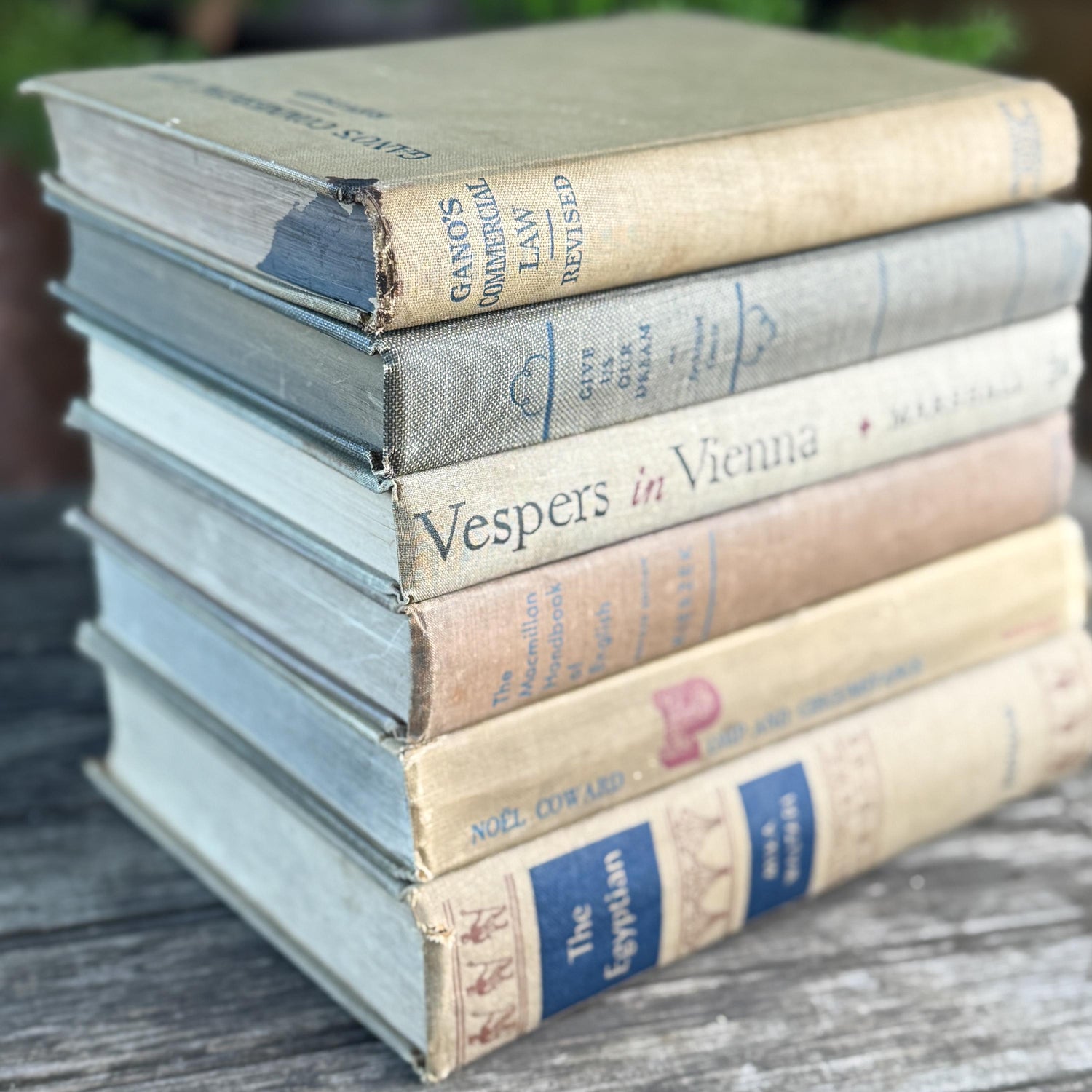 Beige, Blue, Gray, and Beige Vintage Books for Decor