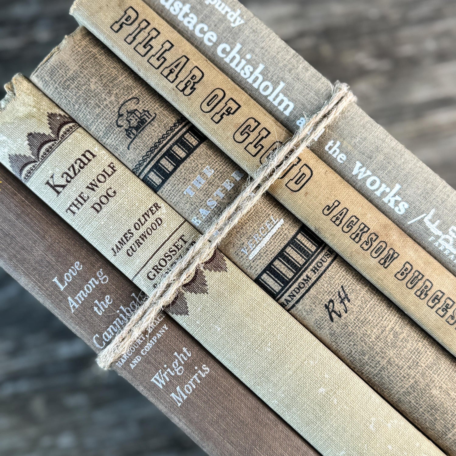 Taupe, Brown, Tan Mid Century Neutral Book Bundle