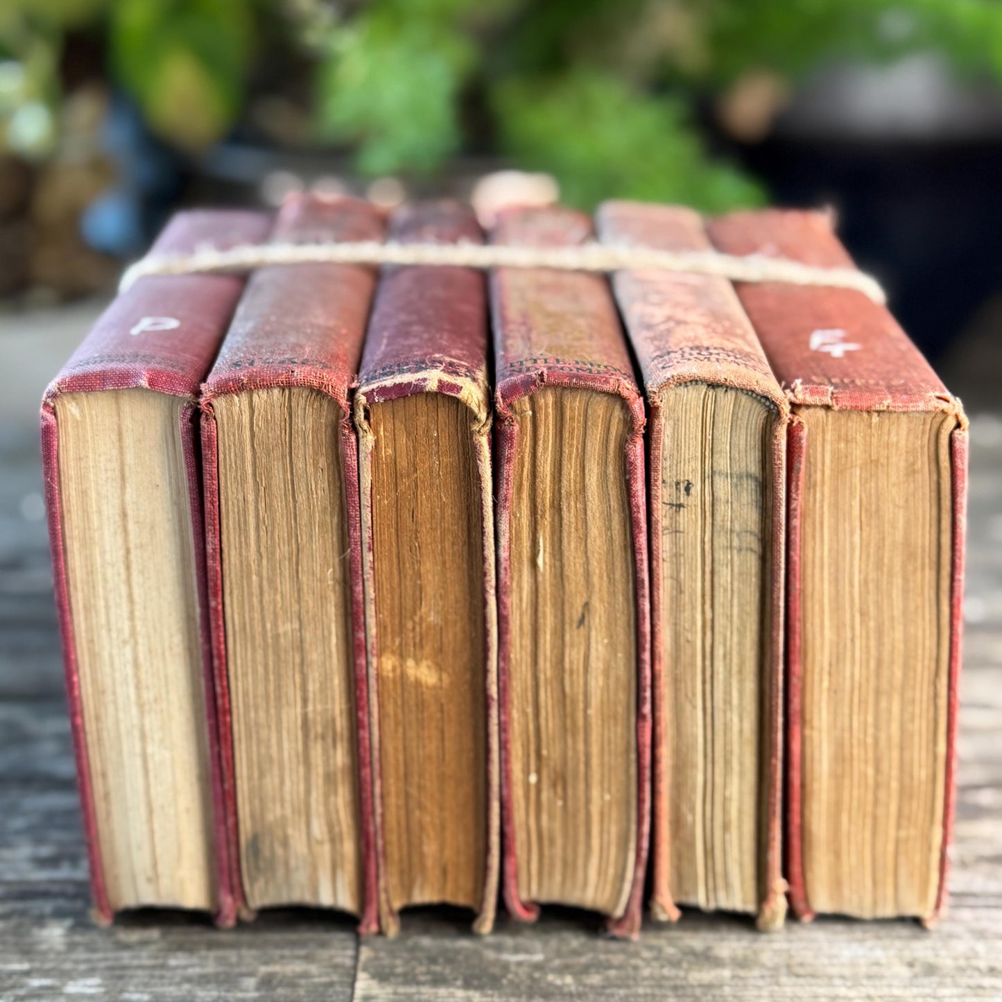 Red Antique Shabby Book Bundle for Shelf Styling