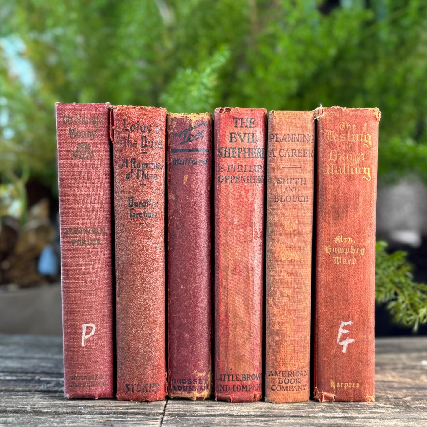 Red Antique Shabby Book Bundle for Shelf Styling