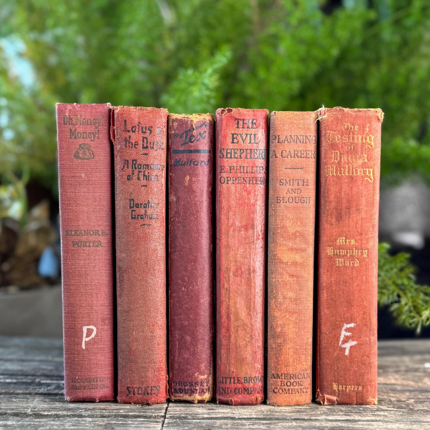 Red Antique Shabby Book Bundle for Shelf Styling