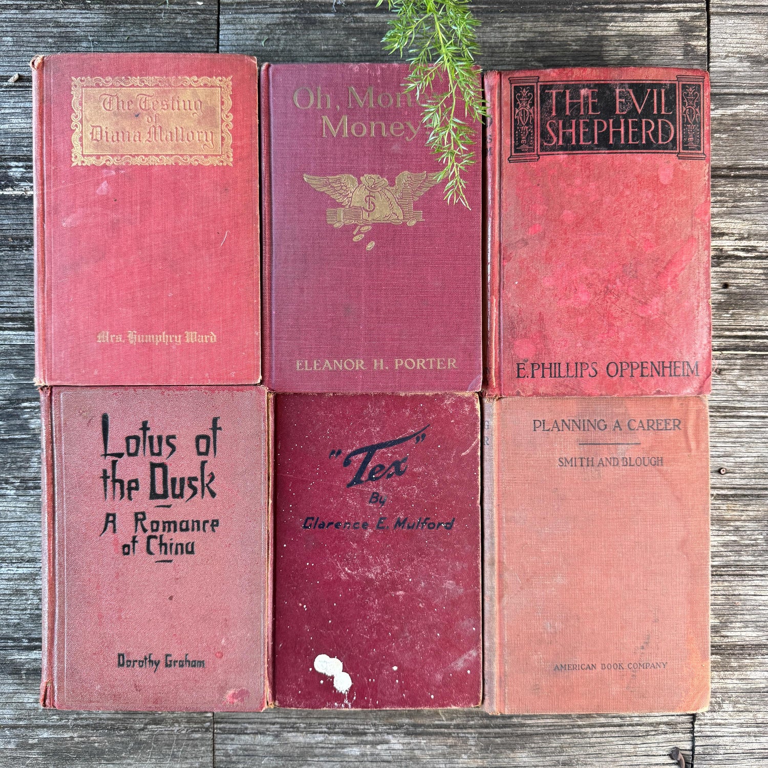 Red Antique Shabby Book Bundle for Shelf Styling