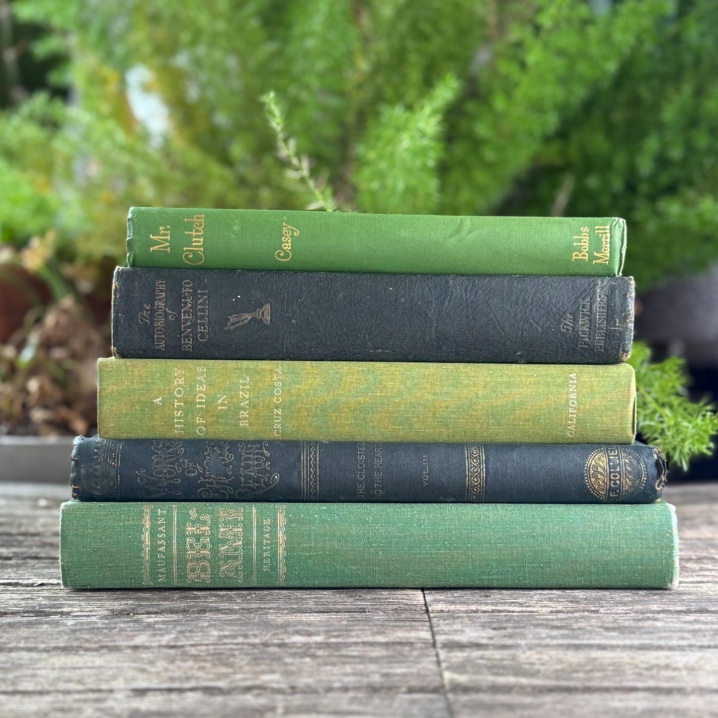 Oversized Green Vintage Book Bundle in Olive and Hunter