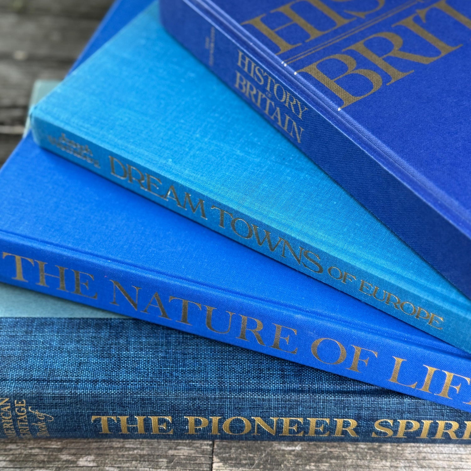 Vintage Indigo Blue Coffee Table Book Bundle