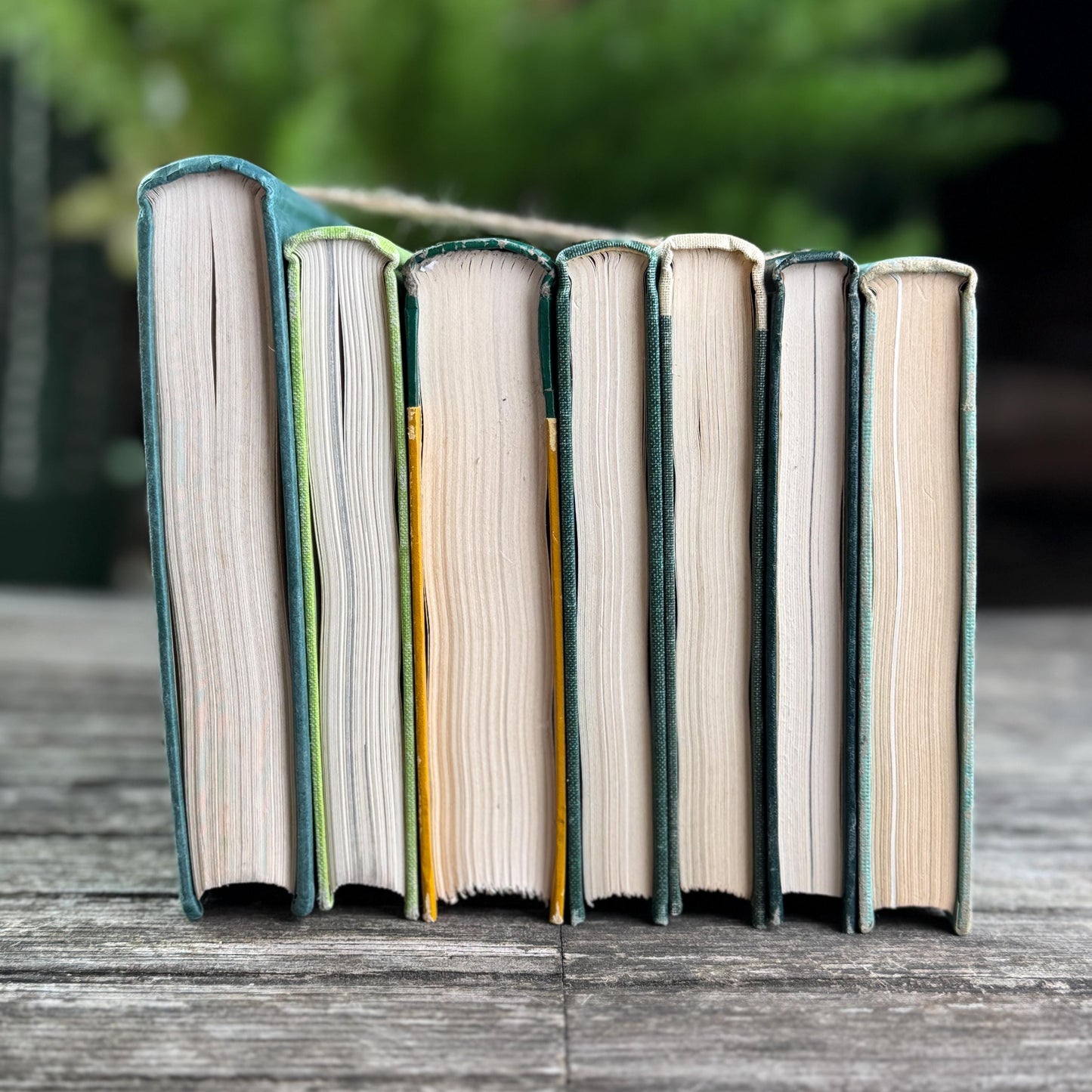Vintage Indoor Gardening Green Book Bundle