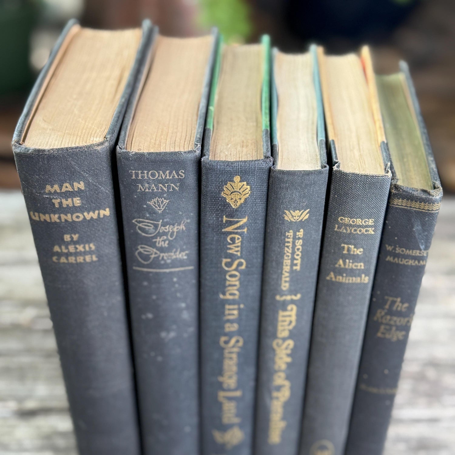 Dark Gray and Faded Black Masculine Mid Century Books for Shelf Styling