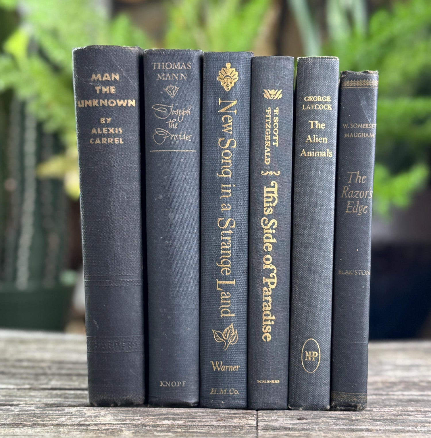 Dark Gray and Faded Black Masculine Mid Century Books for Shelf Styling