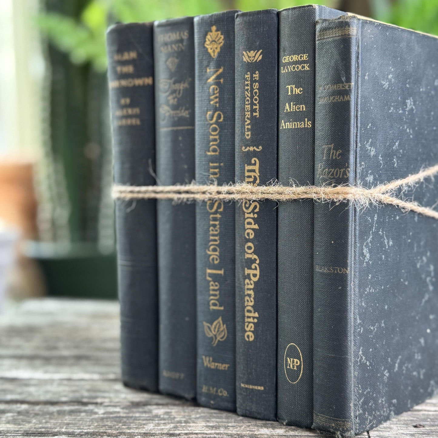 Dark Gray and Faded Black Masculine Mid Century Books for Shelf Styling