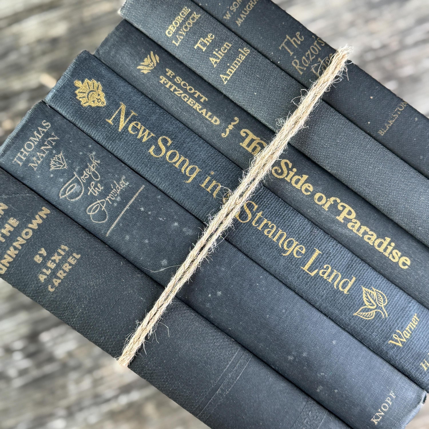 Dark Gray and Faded Black Masculine Mid Century Books for Shelf Styling