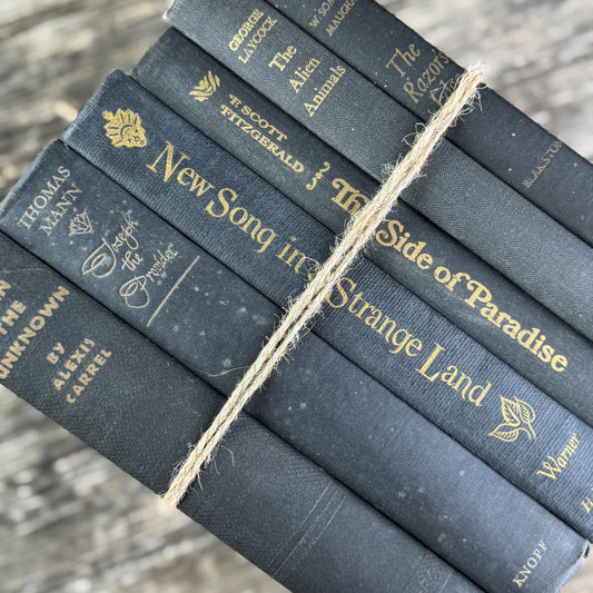 Dark Gray and Faded Black Masculine Mid Century Books for Shelf Styling