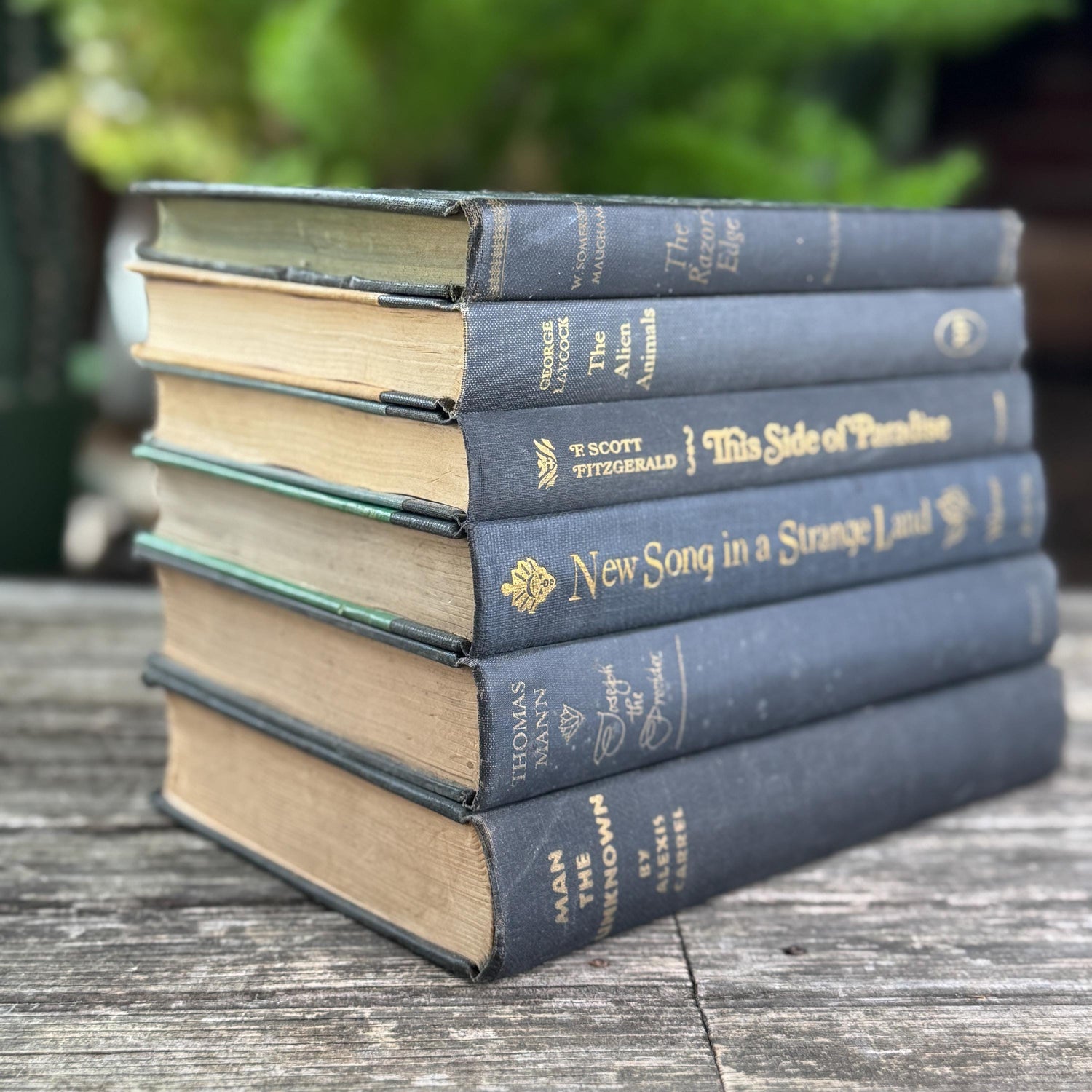 Dark Gray and Faded Black Masculine Mid Century Books for Shelf Styling