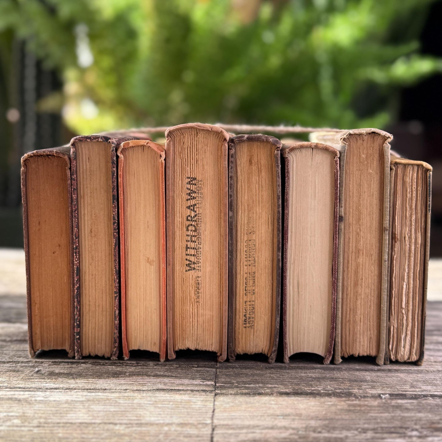 Vintage Copper, Tan, and Brown Retro 1960s Books for Decor