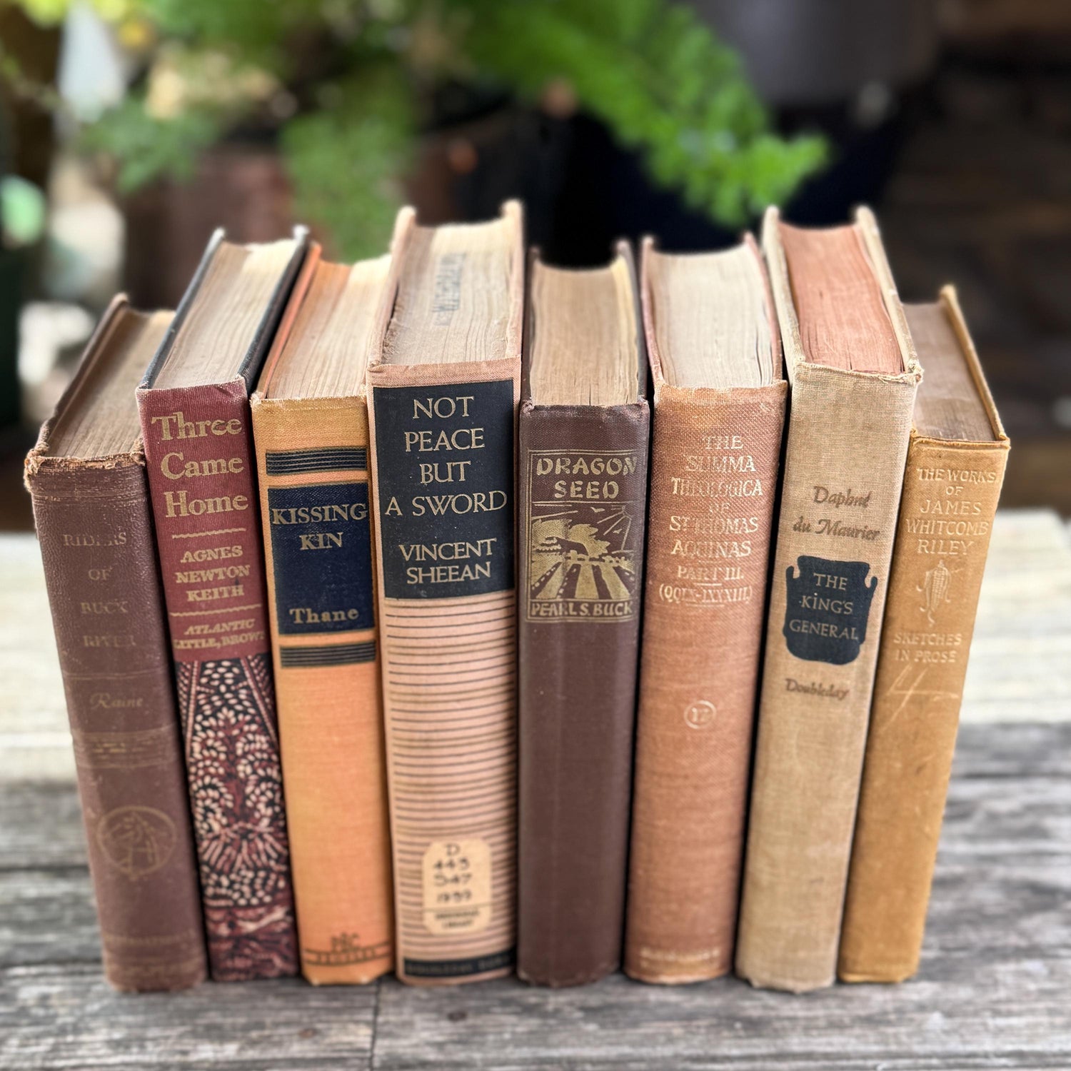 Vintage Copper, Tan, and Brown Retro 1960s Books for Decor