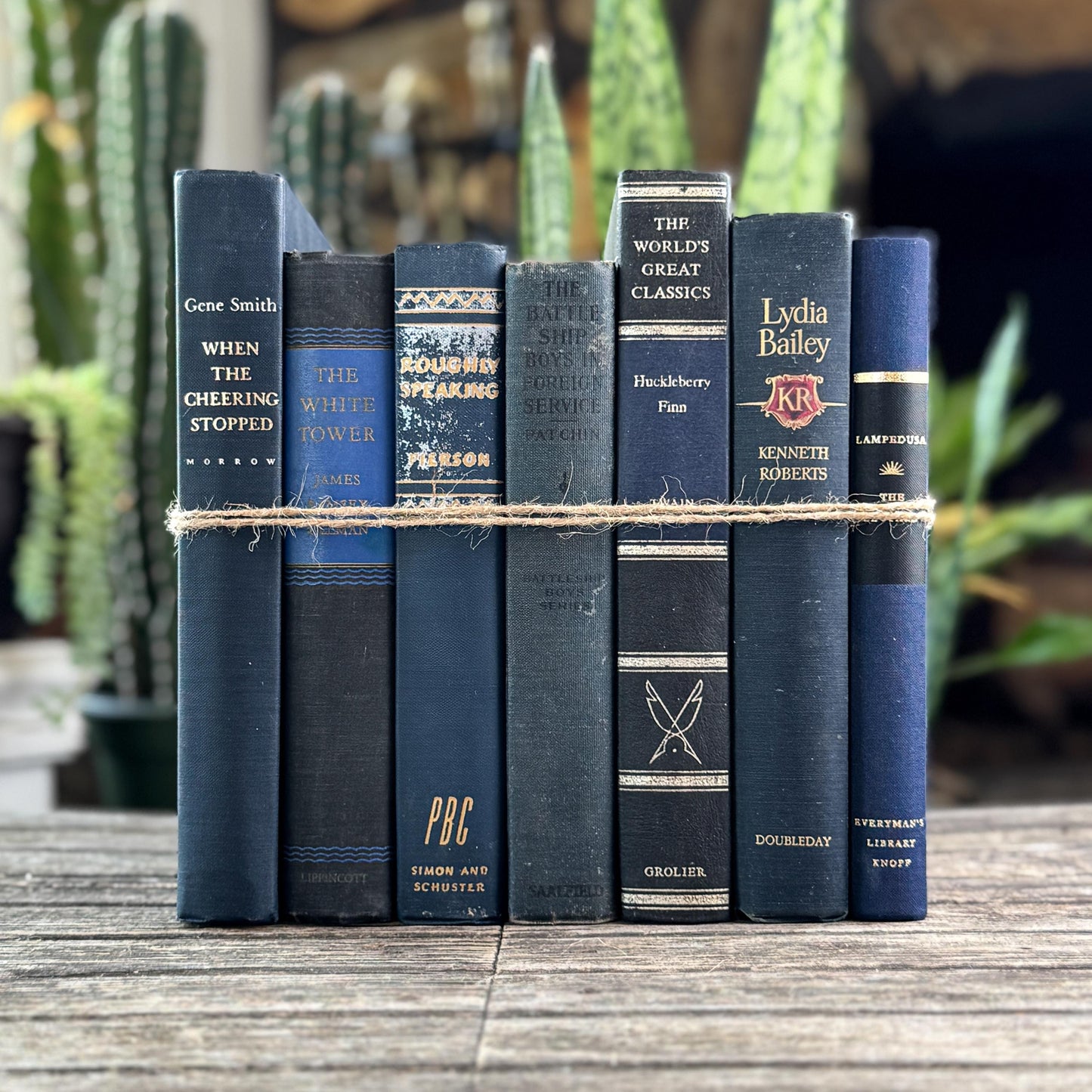 Navy Blue and Black Vintage Book Bundle For Shelf Styling