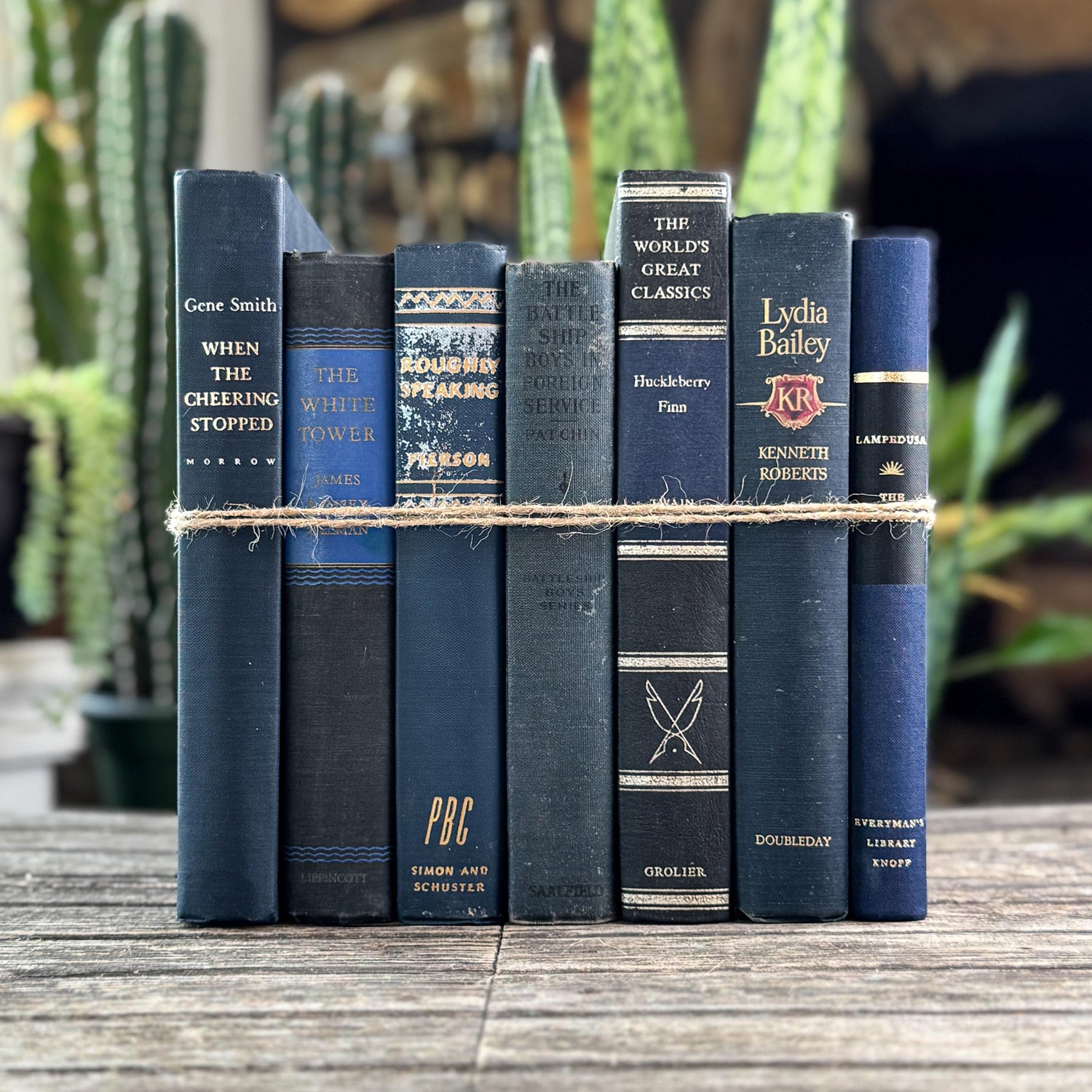 Navy Blue and Black Vintage Book Bundle For Shelf Styling
