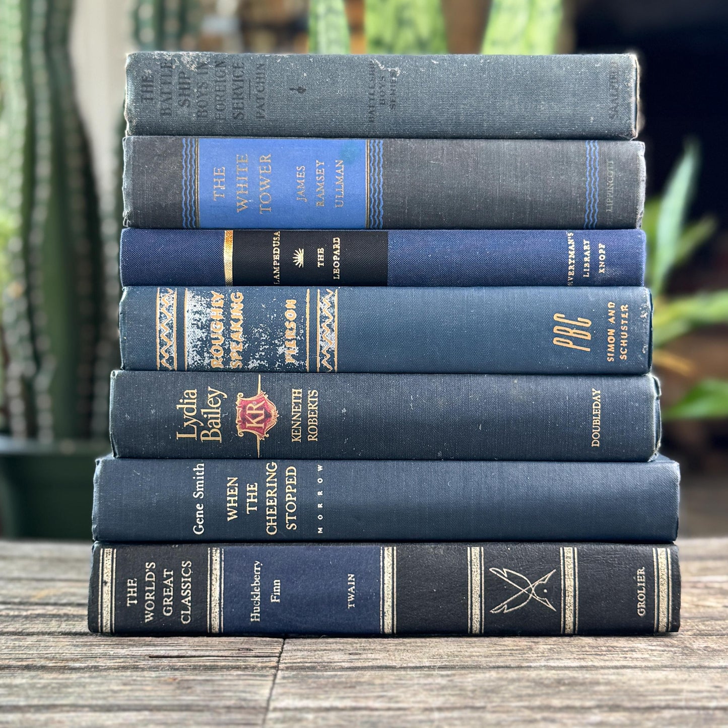 Navy Blue and Black Vintage Book Bundle For Shelf Styling