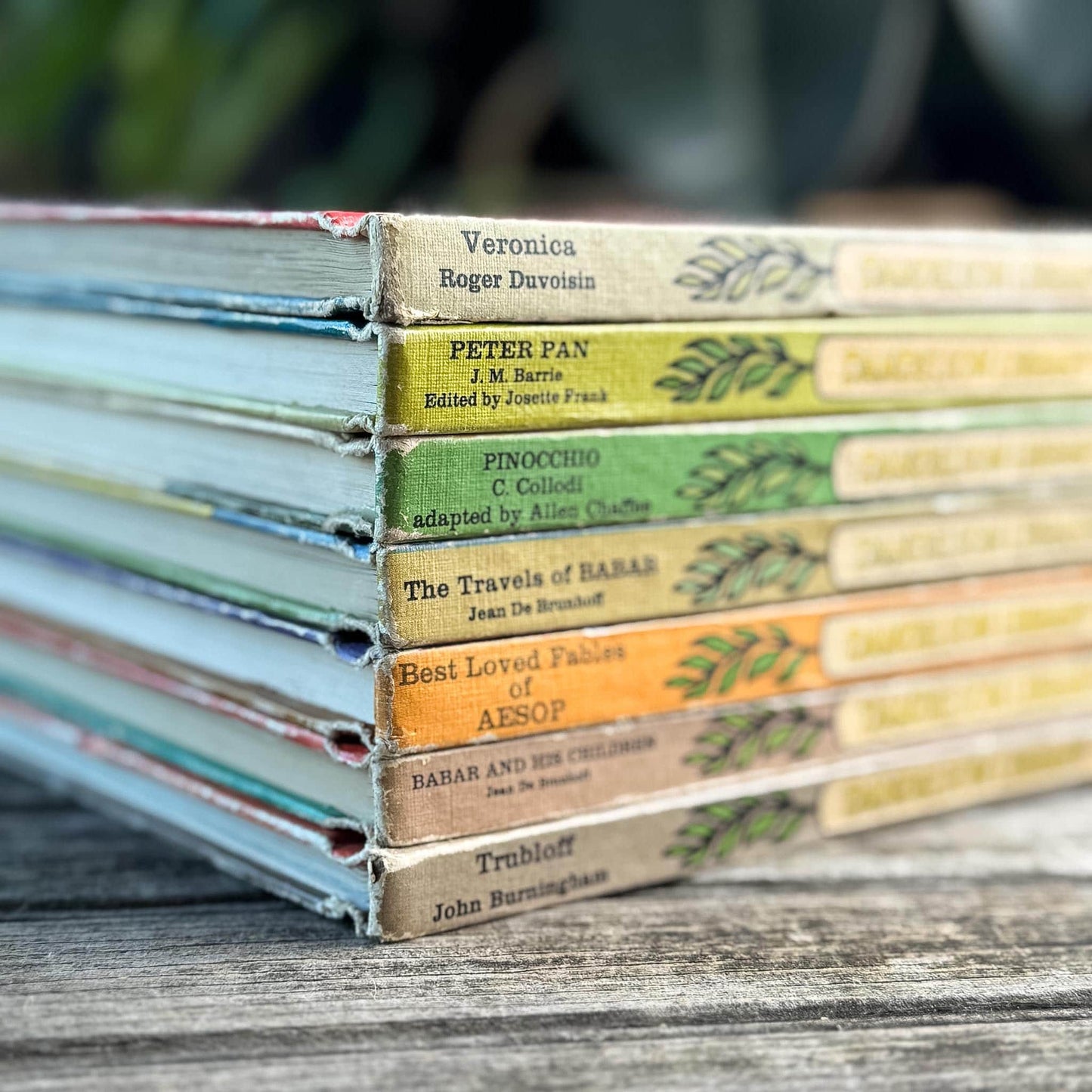 Cozy Tan Orange Green Yellow Dandelion Library Children's Book Set for Decor