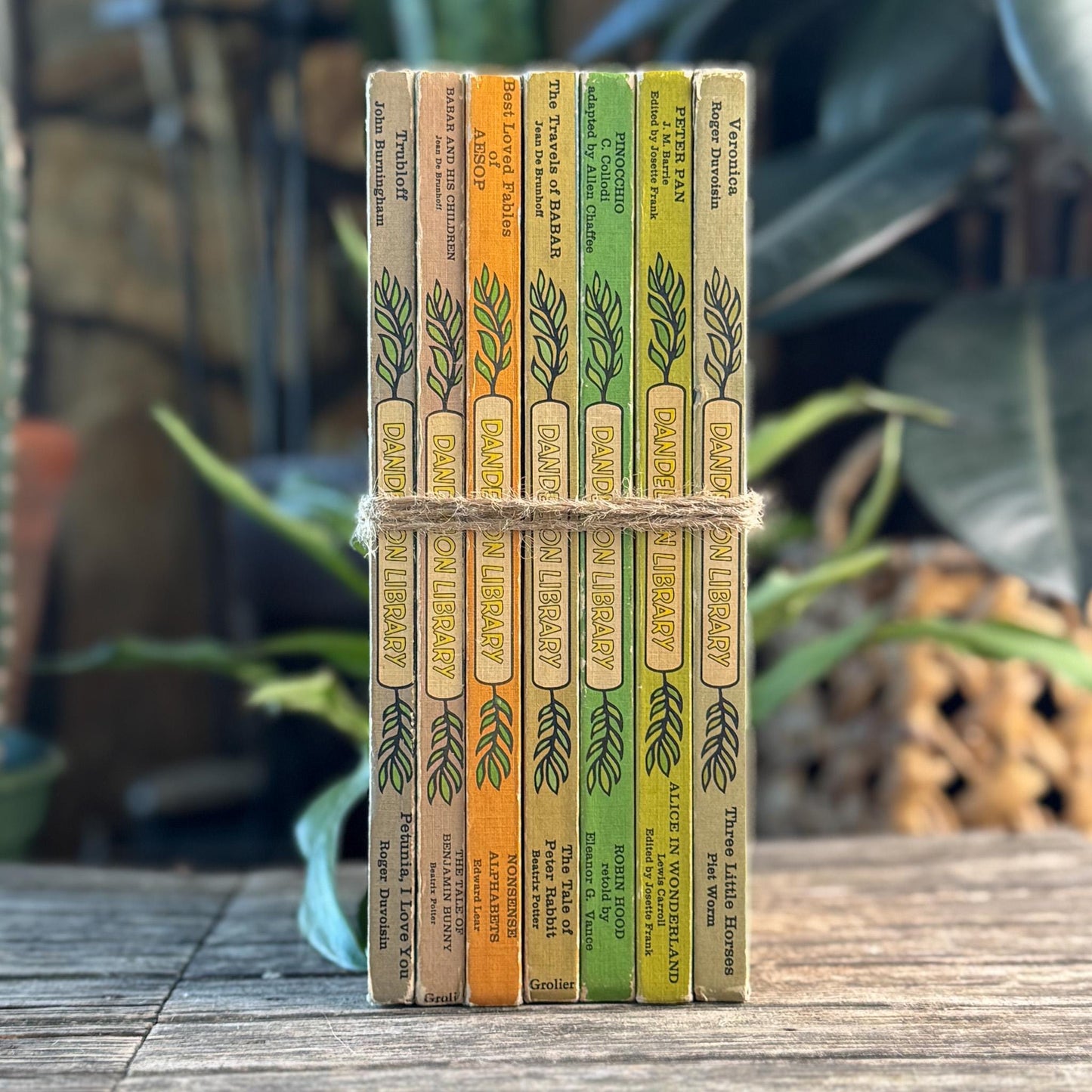 Cozy Tan Orange Green Yellow Dandelion Library Children's Book Set for Decor