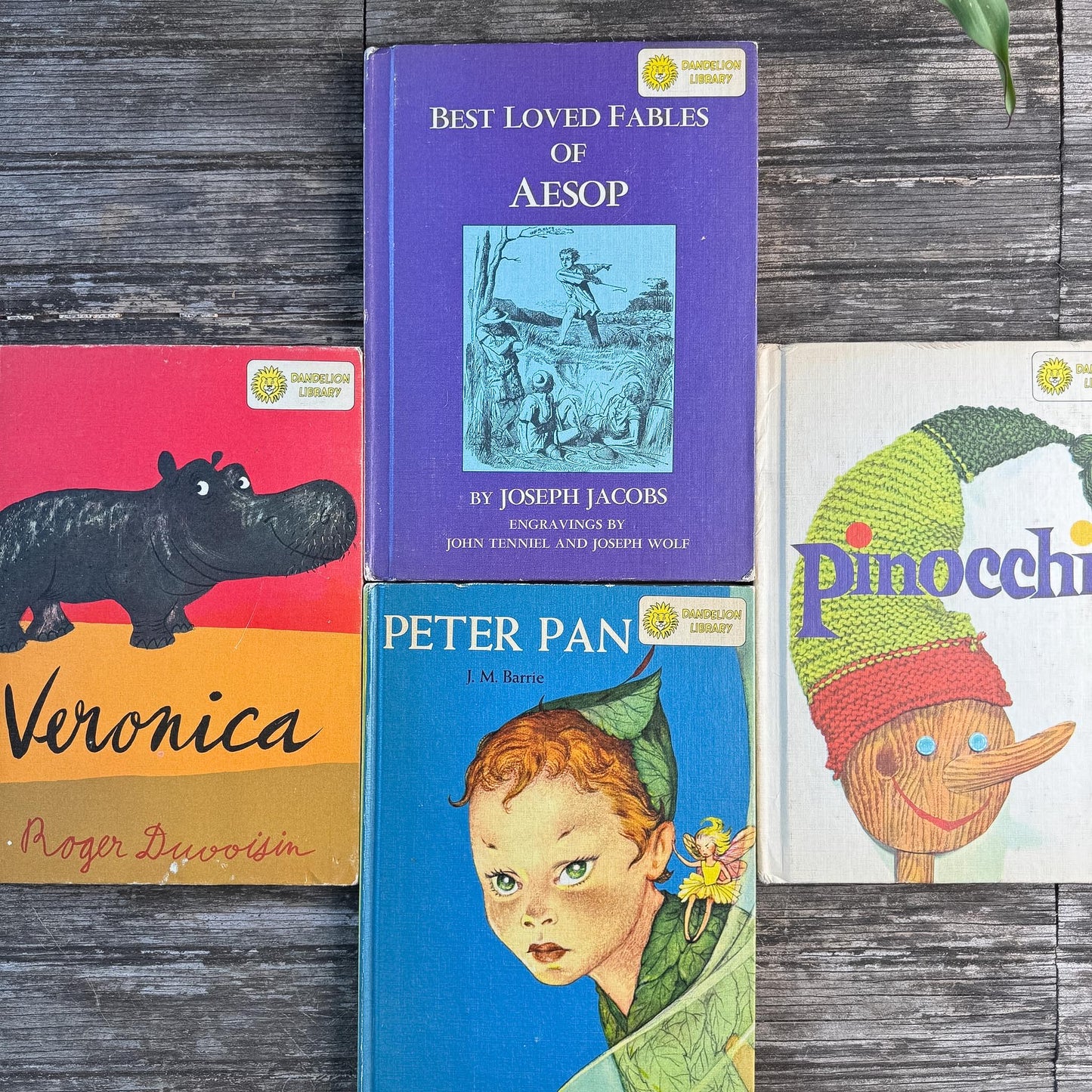 Cozy Tan Orange Green Yellow Dandelion Library Children's Book Set for Decor