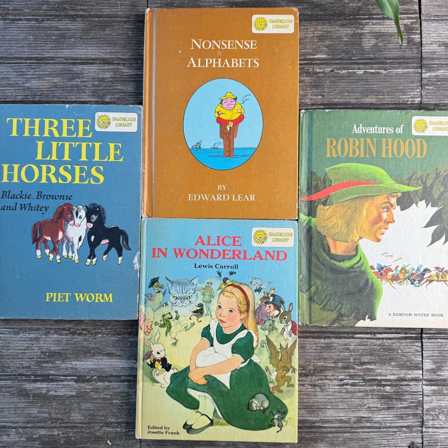 Cozy Tan Orange Green Yellow Dandelion Library Children's Book Set for Decor