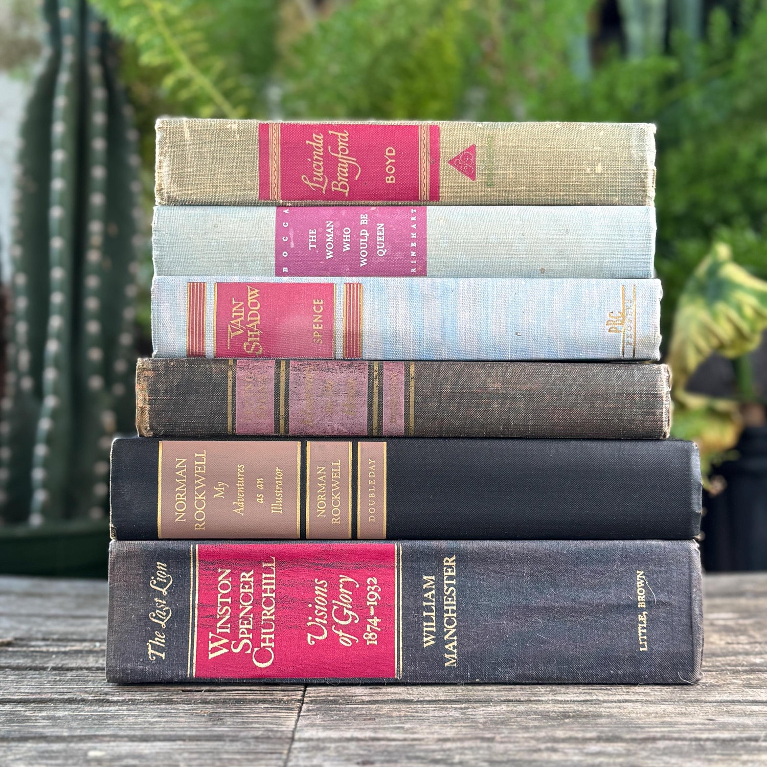 Pink And Purple Vintage Book Bundles