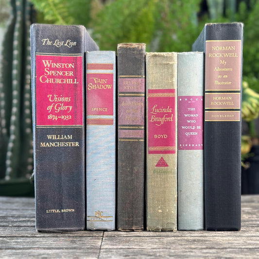 Purple, Pink, and Blue Vintage Decorative Book Bundle For Shelf Styling