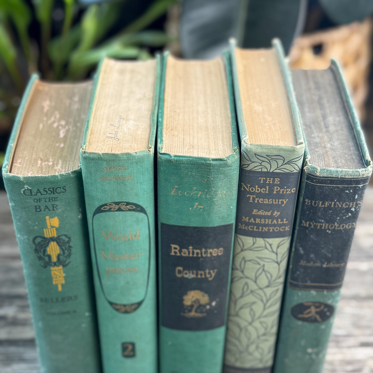 Green and Black Vintage Book Bundle for Mid Century Shelf Styling