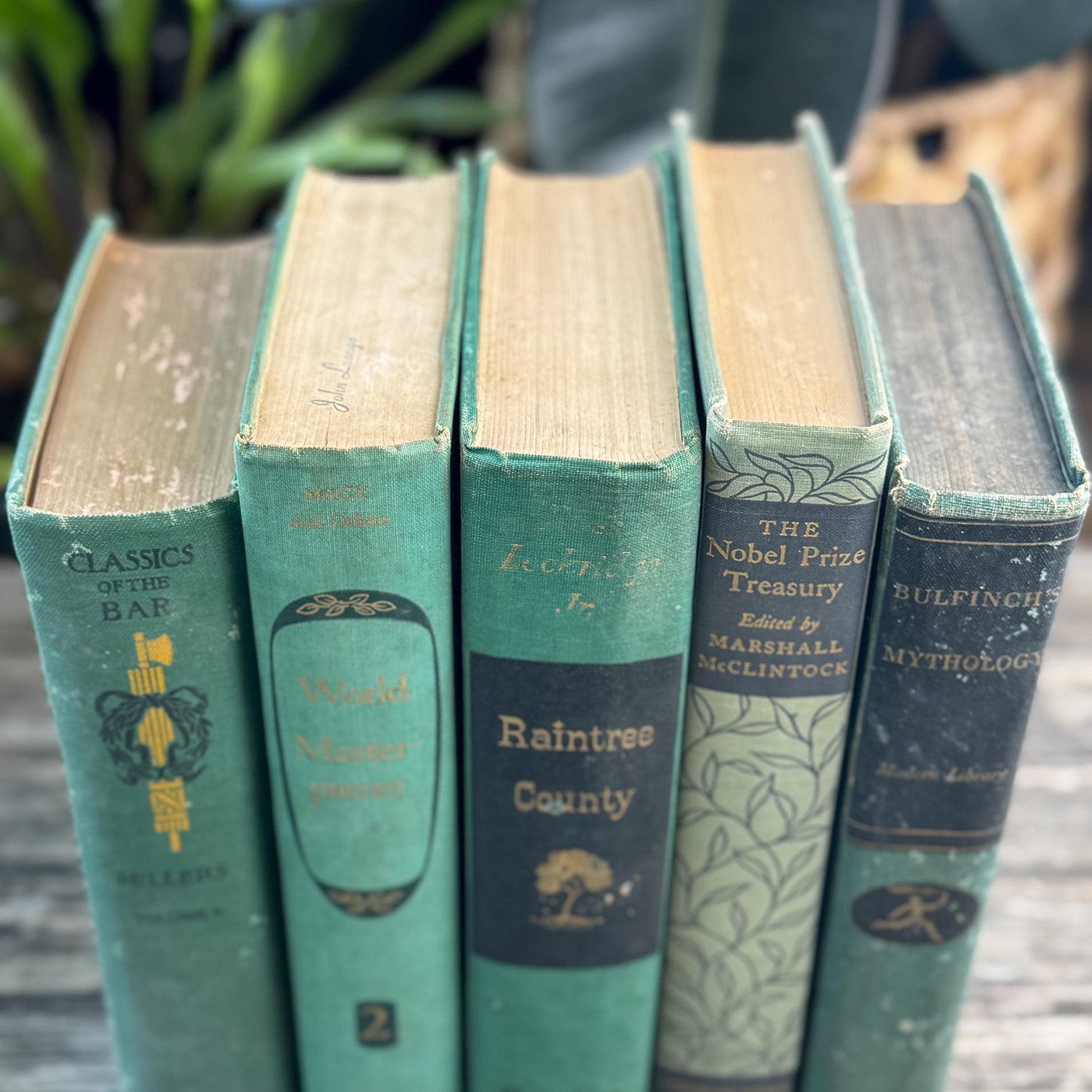 Green and Black Vintage Book Bundle for Mid Century Shelf Styling