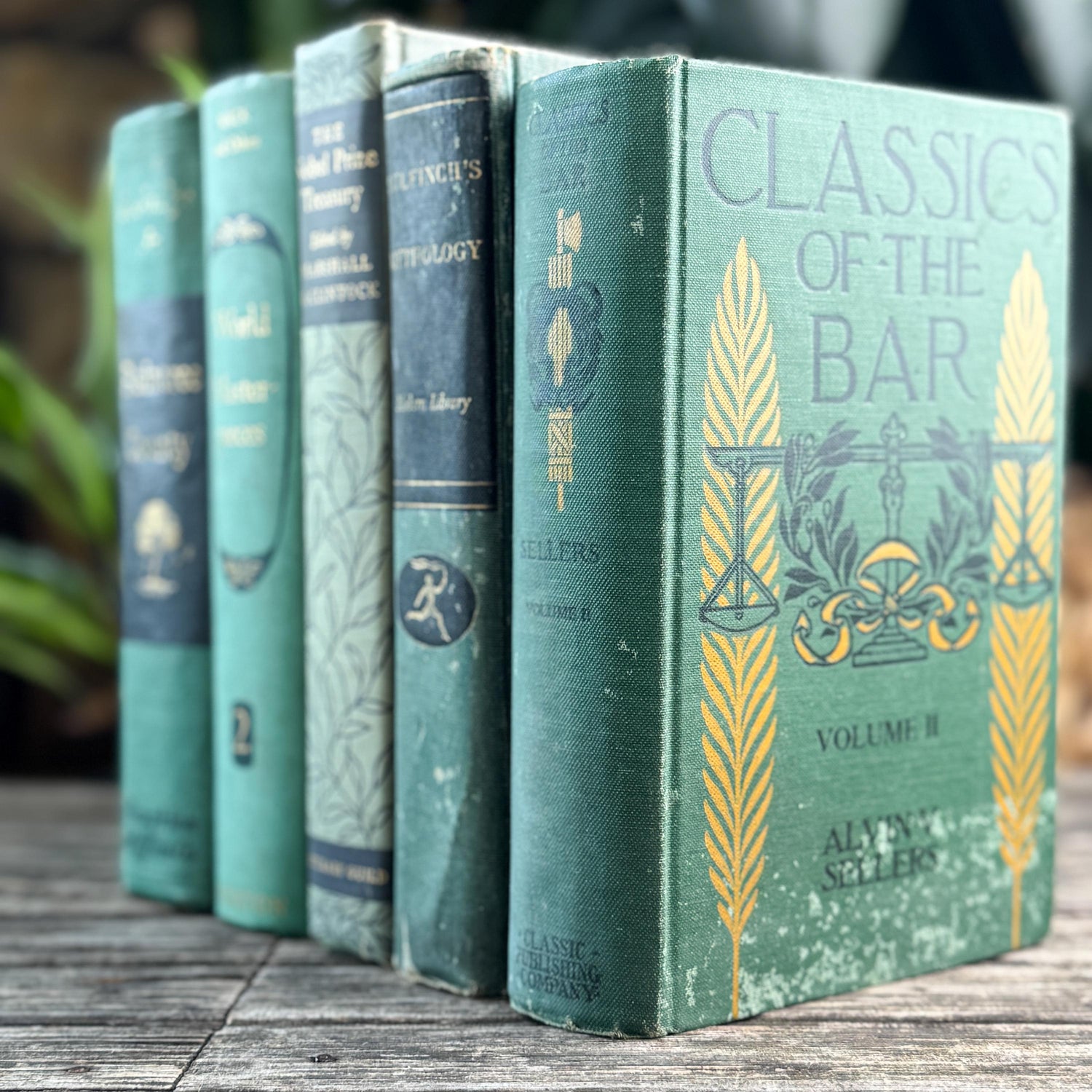 Green and Black Vintage Book Bundle for Mid Century Shelf Styling