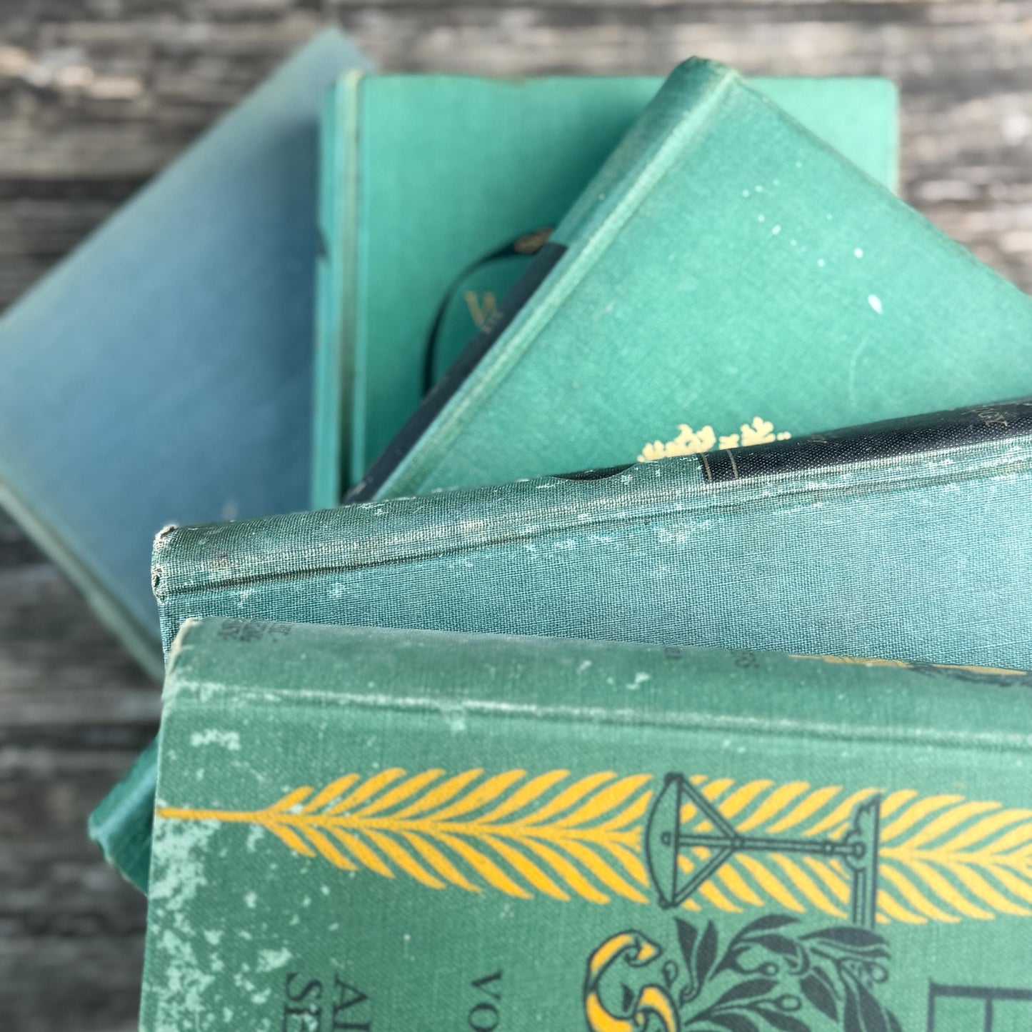 Green and Black Vintage Book Bundle for Mid Century Shelf Styling