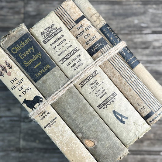 Neutral Gray, Beige and Black Book Bundle for Cozy Shelf Styling