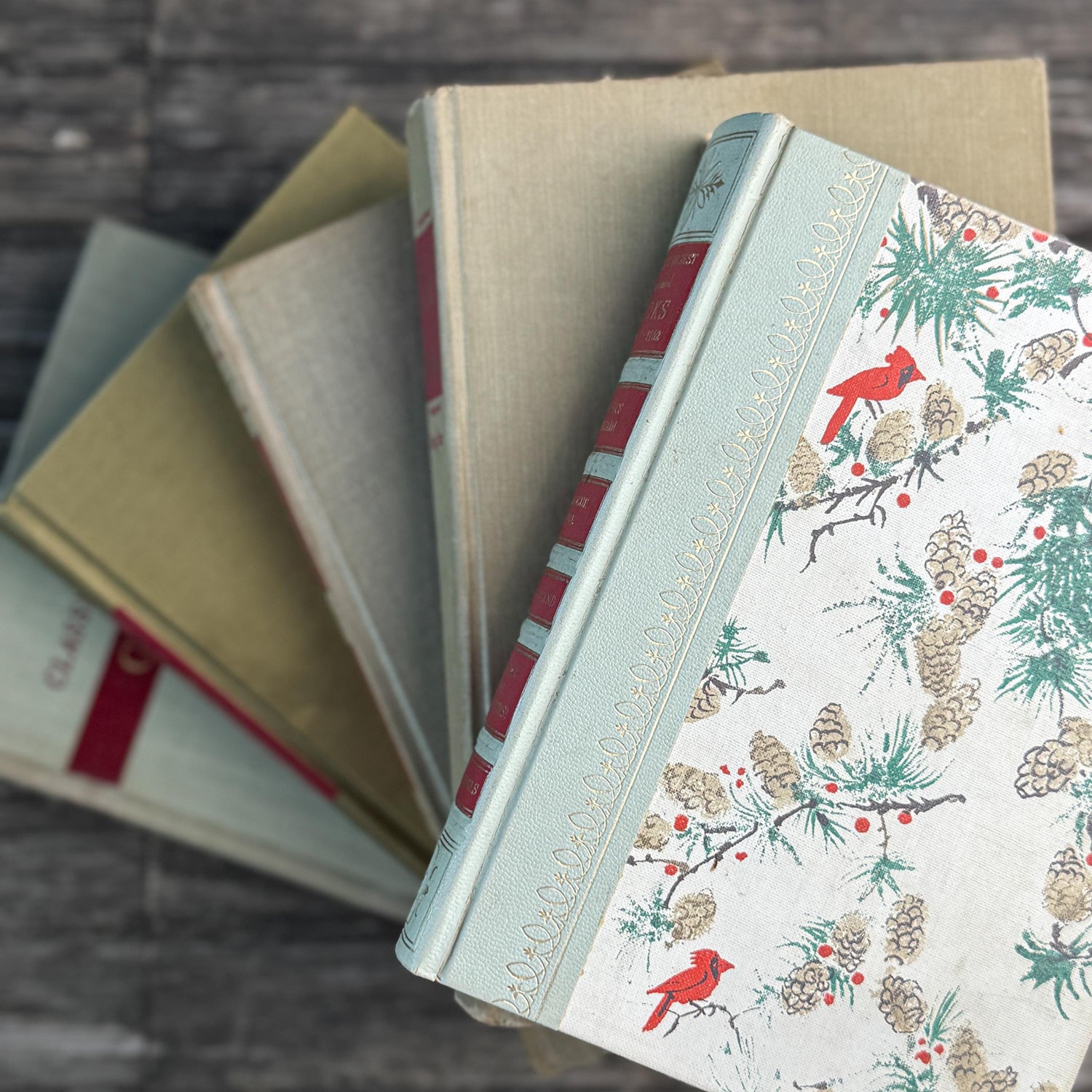 Vintage Mid Century Book Bundle in Beige and Red