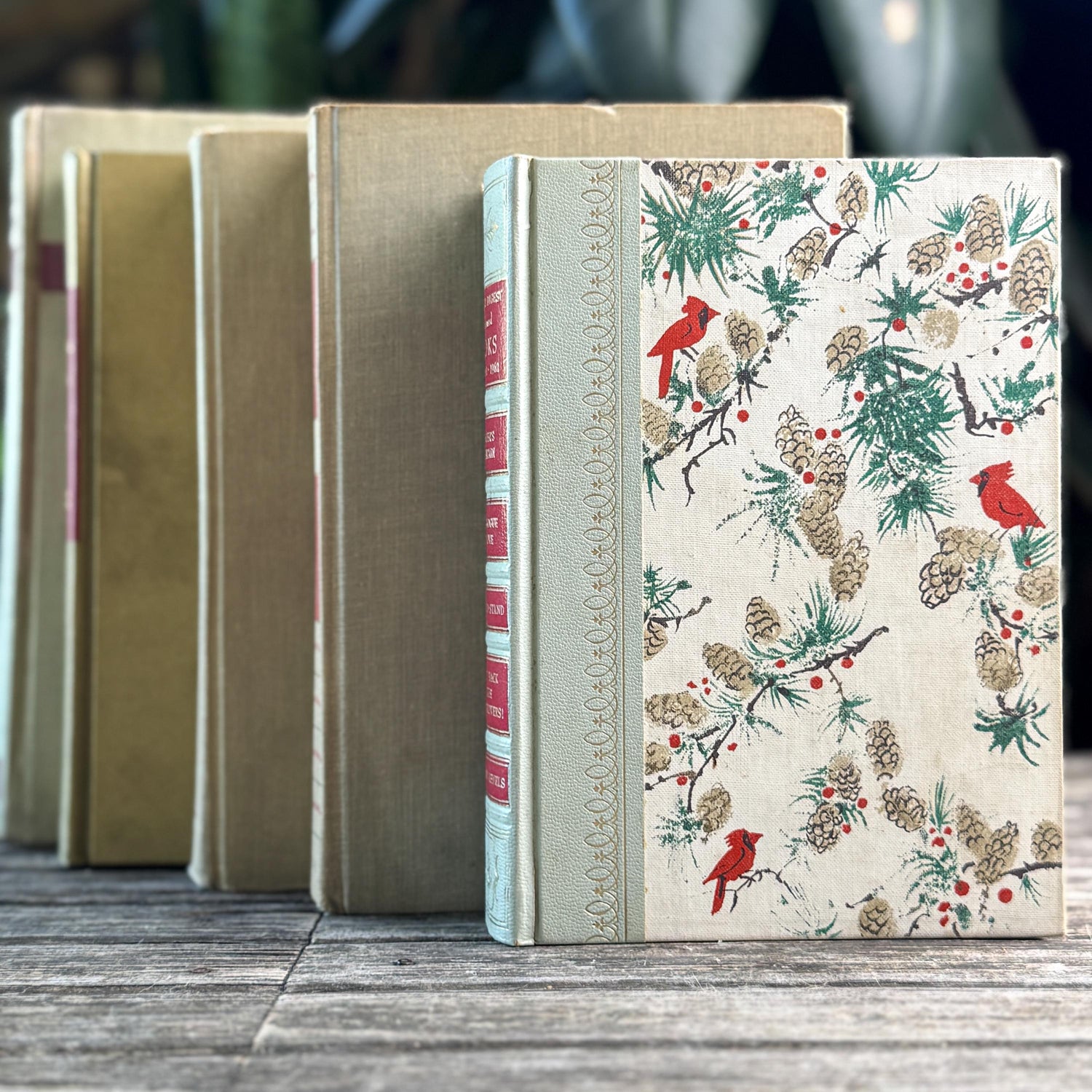 Vintage Mid Century Book Bundle in Beige and Red