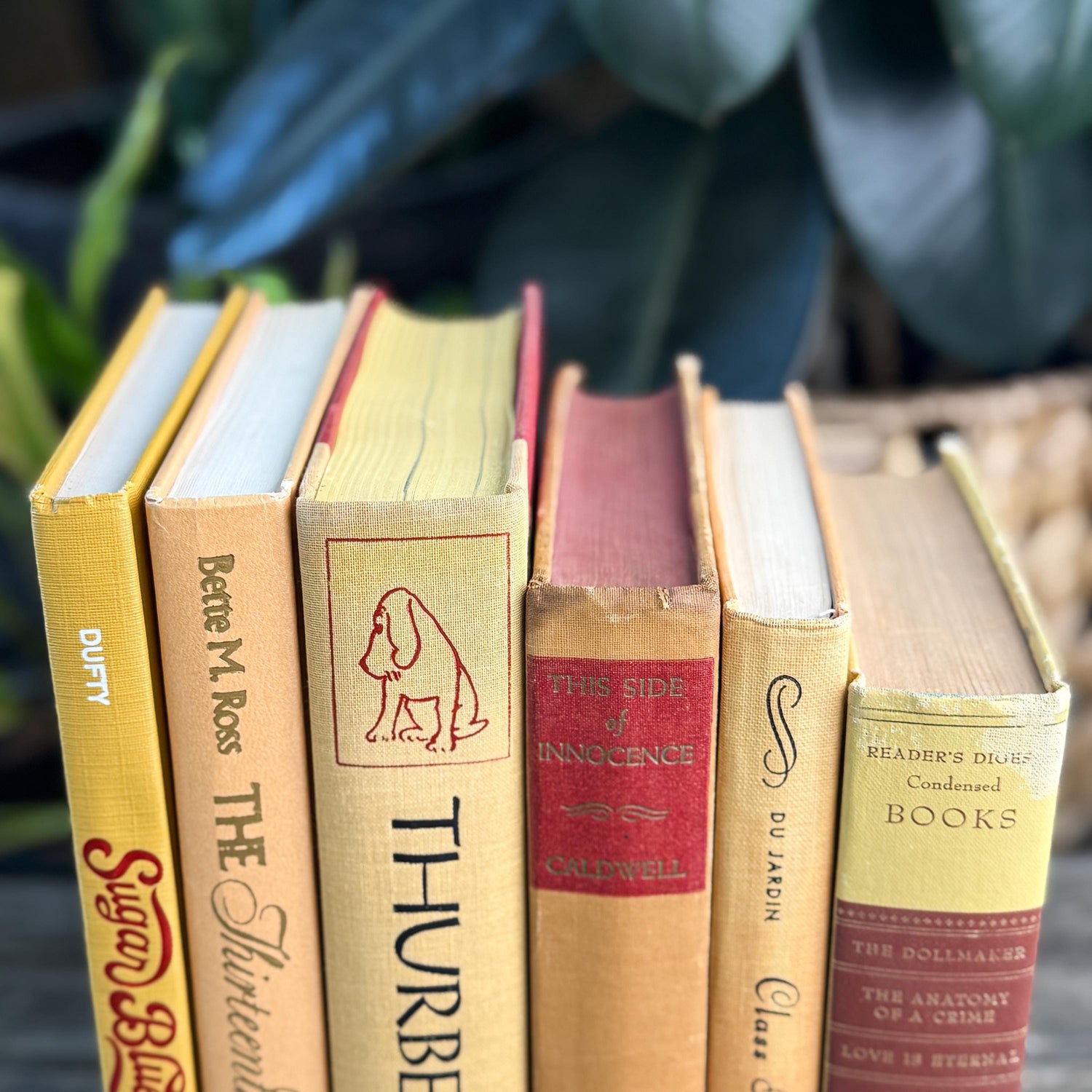Vintage Mid Century Book Bundle in Warm Yellow, Peach & Tan, and Red