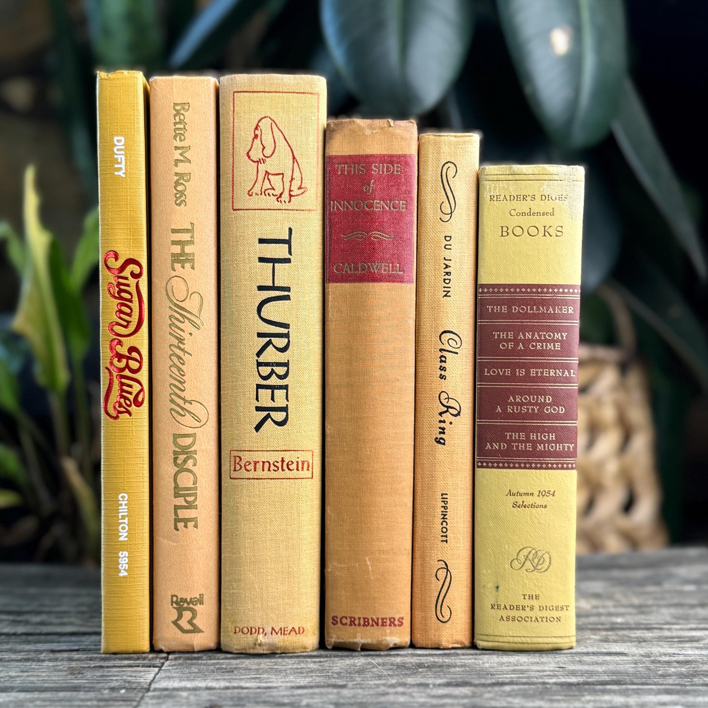 Vintage Mid Century Book Bundle in Warm Yellow, Peach & Tan, and Red