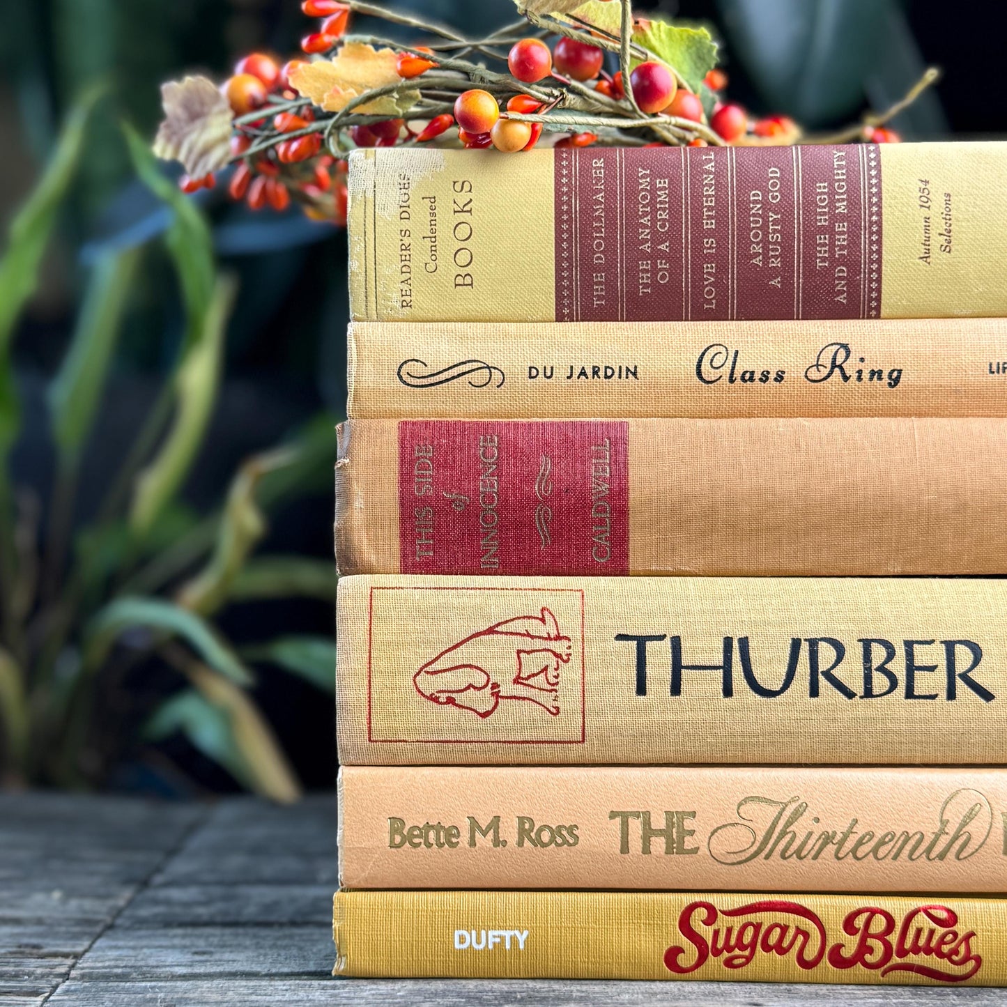 Vintage Mid Century Book Bundle in Warm Yellow, Peach & Tan, and Red