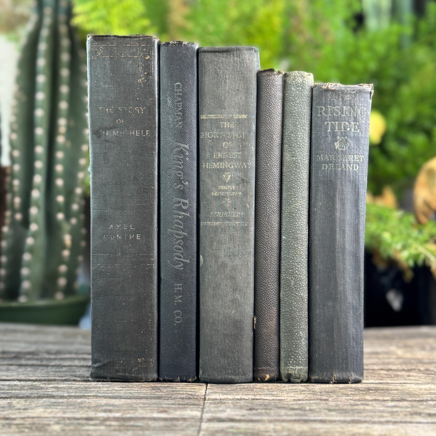 Vintage Faded Shabby Charcoal Black Books for Decor