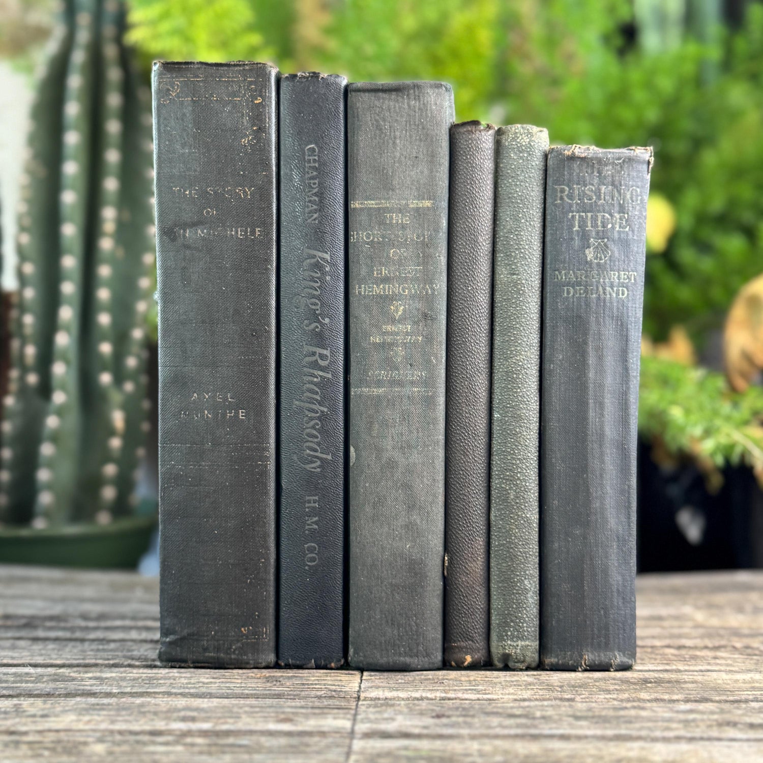 Vintage Faded Shabby Charcoal Black Books for Decor