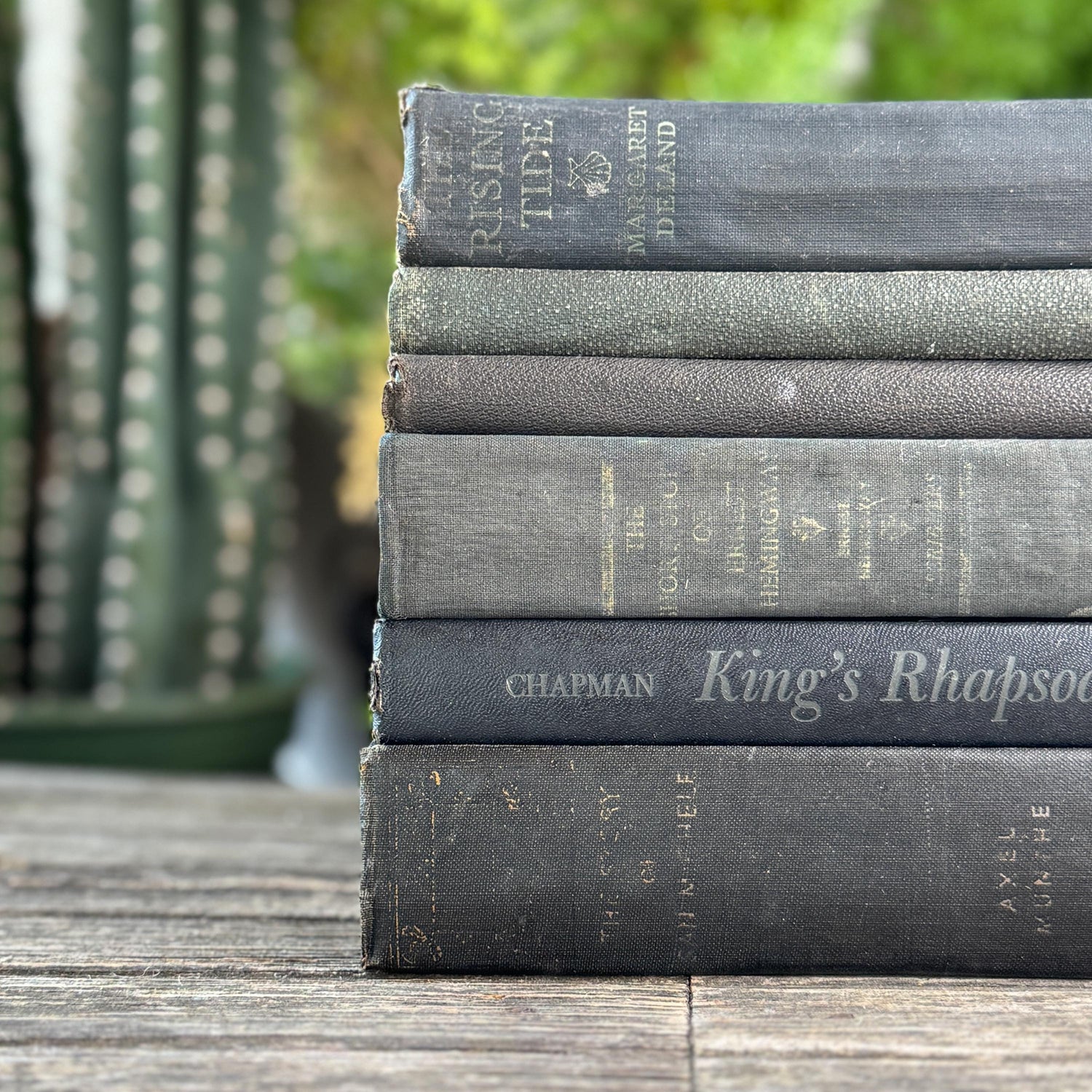 Vintage Faded Shabby Charcoal Black Books for Decor